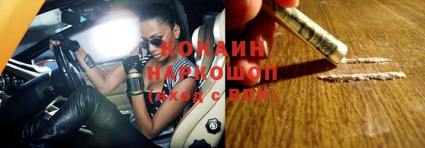 шишки Переславль-Залесский