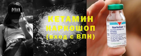шишки Переславль-Залесский