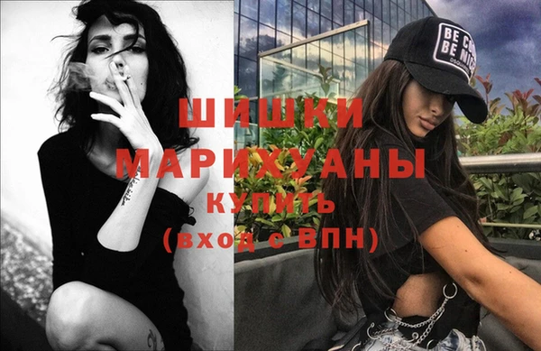 шишки Переславль-Залесский