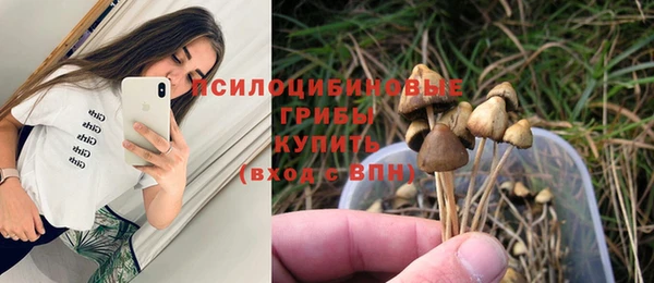 spice Грязи
