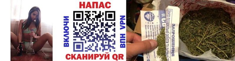 Бошки Шишки SATIVA & INDICA  Учалы 